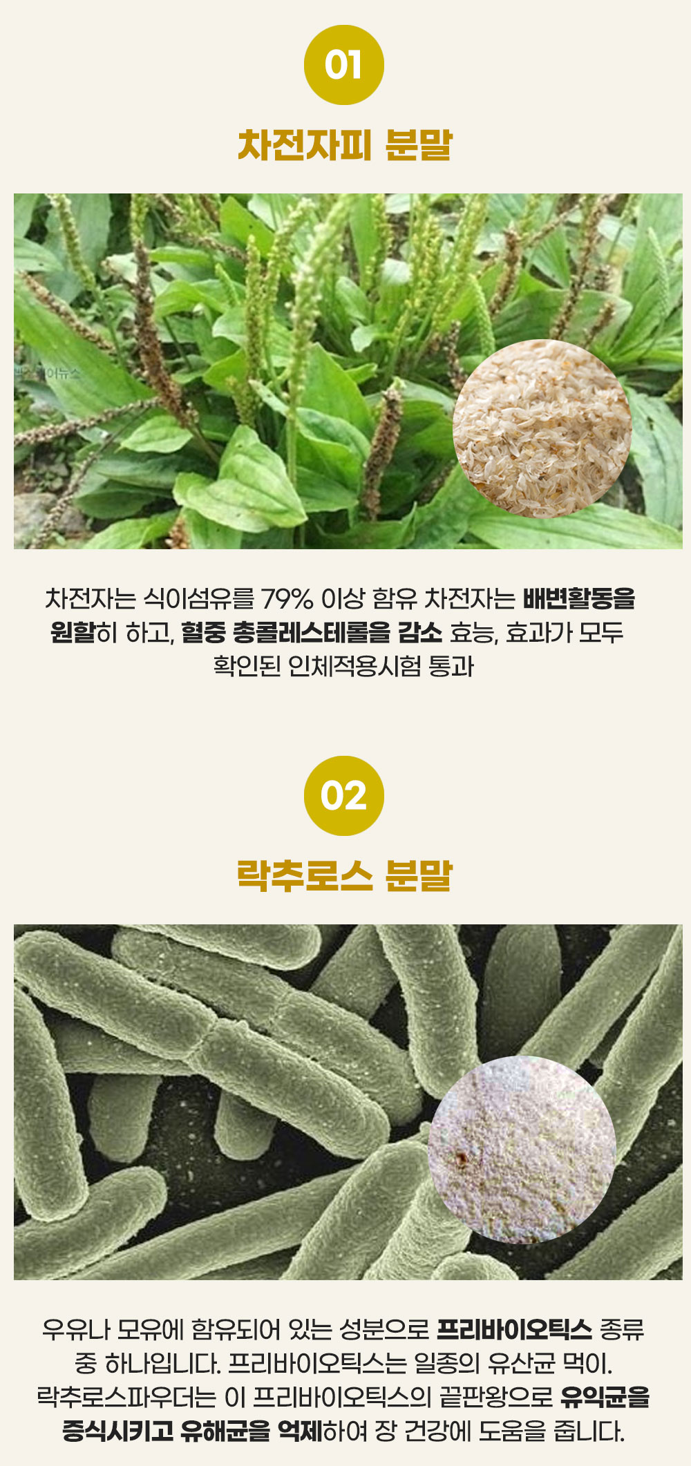 bb01eedab976fda16ed5ab2c03322052_1741183217_1233.jpg