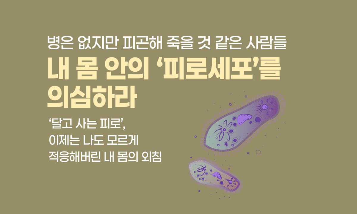 531a4ff5a79ec811cd612ab0d3a9bc30_1751145336_6199.jpg